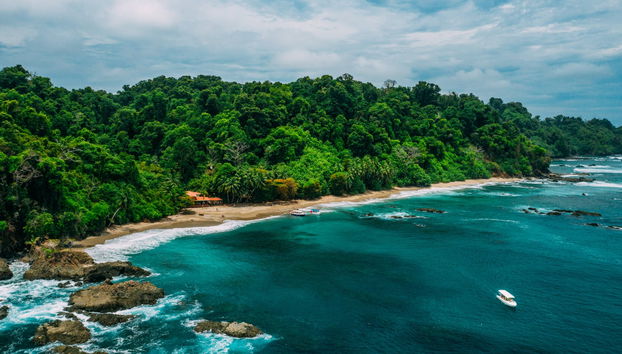 Snorkeling at Caño Island - Foto 3