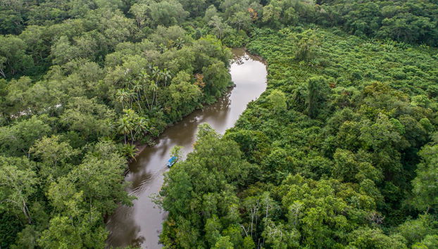 Snorkeling at Caño Island - Foto 2