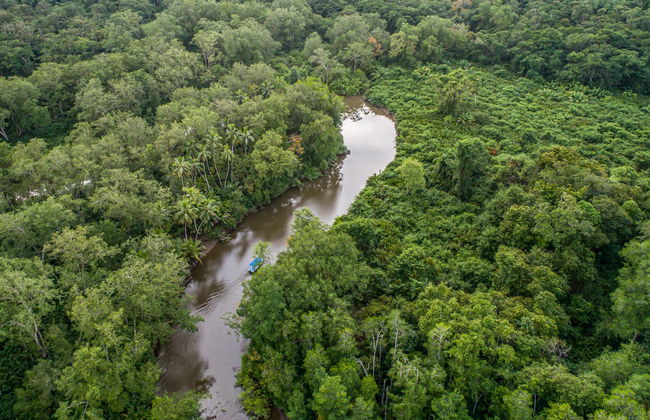 Snorkeling at Caño Island - Foto 2