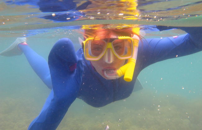 Snorkel en la Isla del Caño - Foto 3