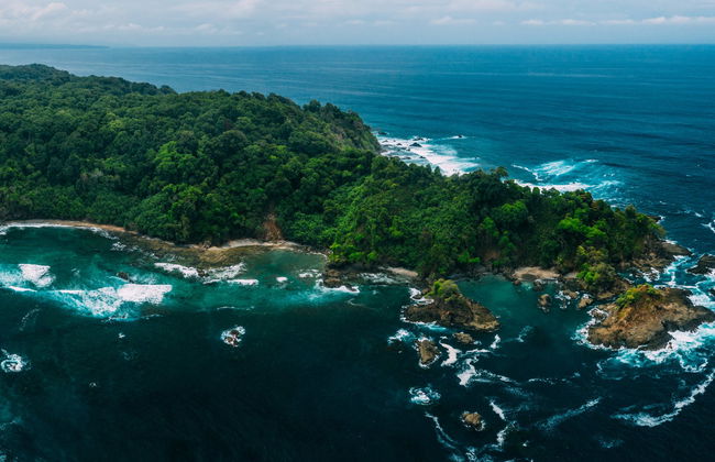 Snorkeling at Caño Island - Foto 1