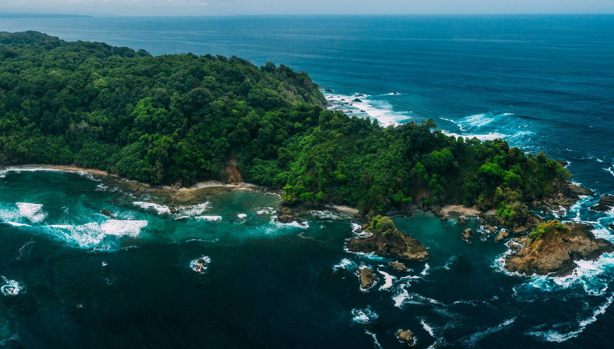 Snorkeling at Caño Island - Foto 1
