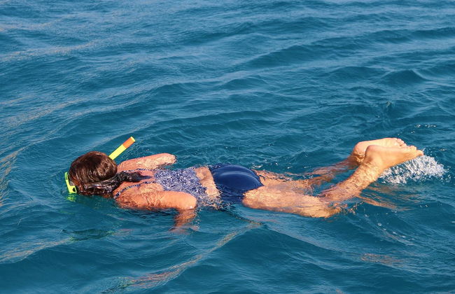 Snorkel en la Isla del Caño - Foto 2