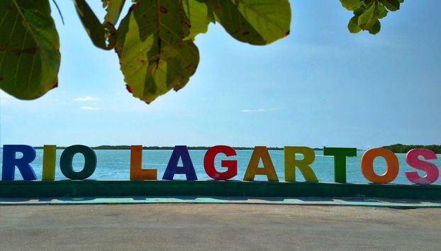 Birdwatching in Rio Lagartos - Photo 4