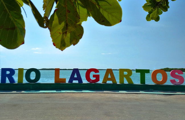 Balade en bateau dans les mangroves de Río Lagartos - Photo 7