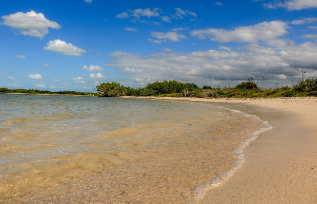 Paseo en barco por los manglares de Río Lagartos - Foto 5