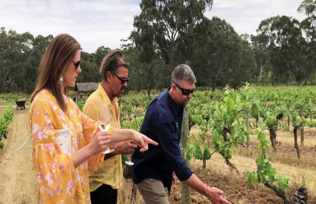 Taste the Barossa: Day of Indulgence - Private Tour - Foto 1