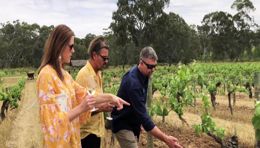 Taste the Barossa: Day of Indulgence - Private Tour - Foto 1