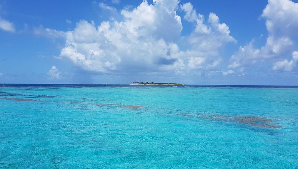 Saona Island Combo: Catamaran, Semi-Submarine and Speedboat Cruise - Photo 1