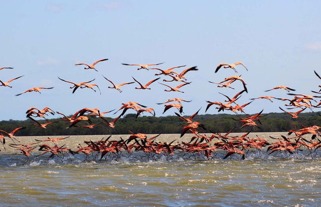 Tour de 2 días por Manaure y el Santuario Los Flamencos - Foto 8