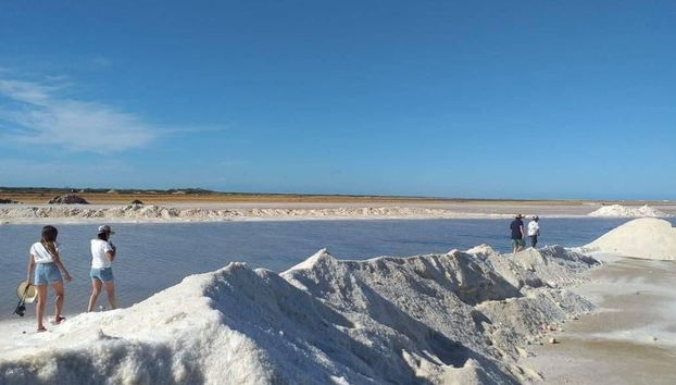 Le saline di Manaure