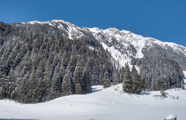 Senderismo por el Parque Nacional Piatra Craiului - Foto 2