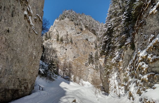 Senderismo por el Parque Nacional Piatra Craiului - Foto 3