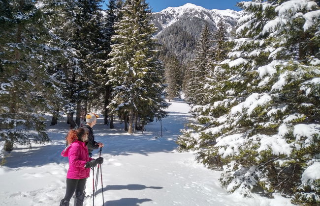 Senderismo por el Parque Nacional Piatra Craiului - Foto 7