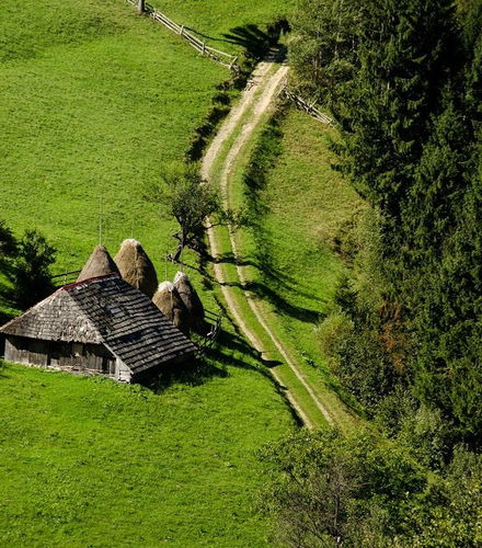 Foto de Senderismo por el Parque Nacional Piatra Craiului