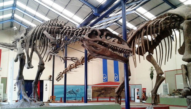 Excursión a Villa El Chocón + Museo Paleontológico - Foto 5