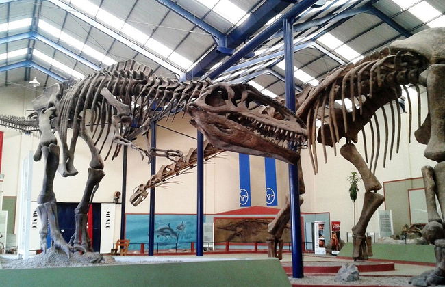 Escursione a Villa El Chocón + Museo Paleontologico - Foto 5