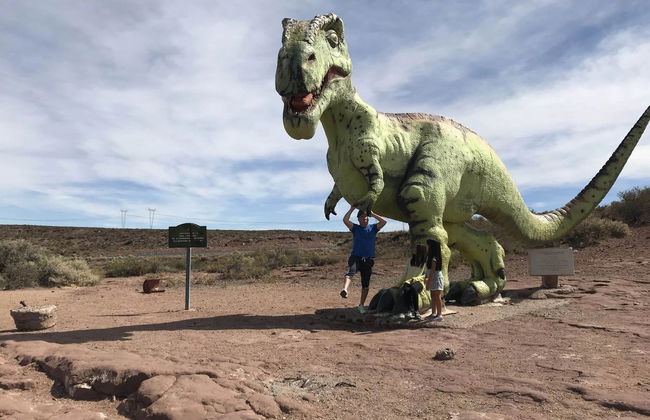 Escursione a Villa El Chocón + Museo Paleontologico - Foto 4