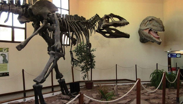 Excursión a Villa El Chocón + Museo Paleontológico - Foto 2