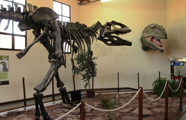 Escursione a Villa El Chocón + Museo Paleontologico - Foto 2