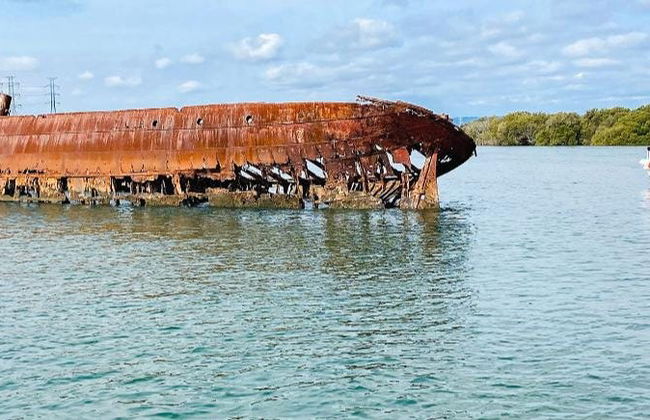 Giro in barca sul Port Adelaide River - Foto 8