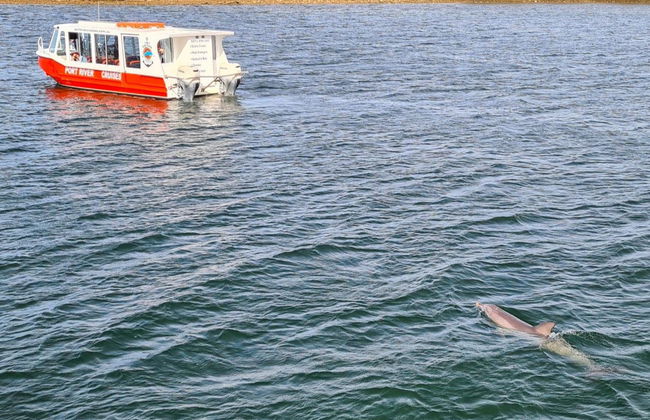 Giro in barca sul Port Adelaide River - Foto 5