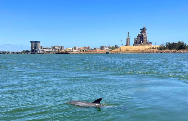 Giro in barca sul Port Adelaide River - Foto 2