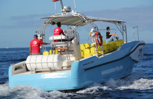 Paseo en barco por Los Órganos y el oeste de La Gomera - Foto 3