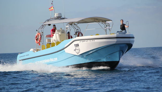 Boat Tour of Los Órganos & the West of La Gomera - Foto 2