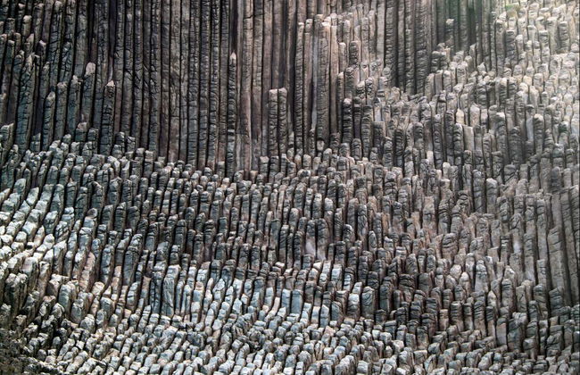 Boat Tour of Los Órganos & the West of La Gomera - Foto 5