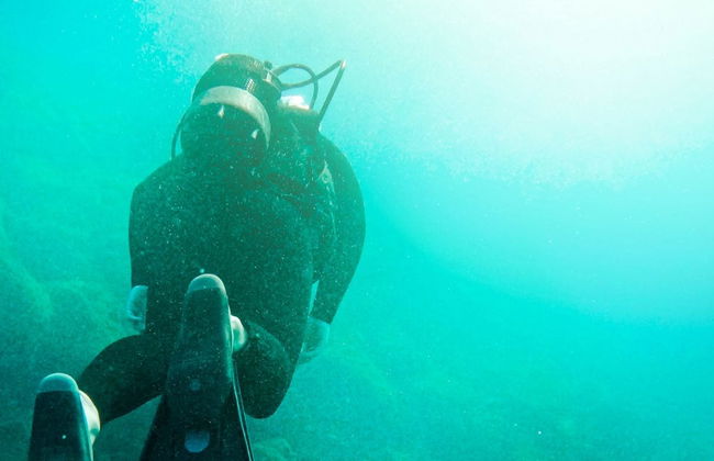 Tongoy Beginners Scuba Diving - Photo 6