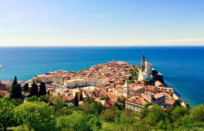 Tour of Piran + Wine Tasting - Photo 7
