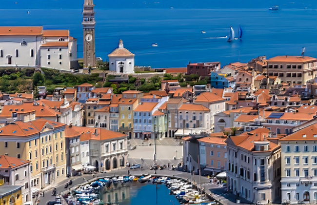 Tour of Piran + Wine Tasting - Photo 8