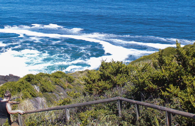 Excursión a Punta Curiñanco - Foto 8