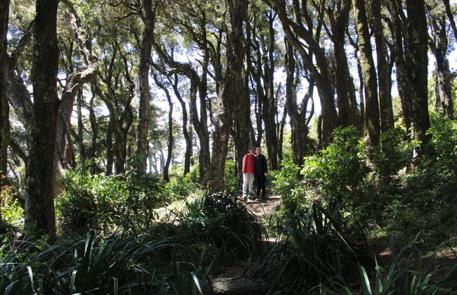 Excursión a Punta Curiñanco - Foto 4