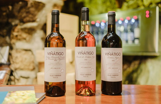 Visita a las Bodegas Viñátigo - Foto 2
