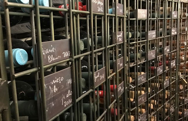 Visita a las Bodegas Viñátigo - Foto 4