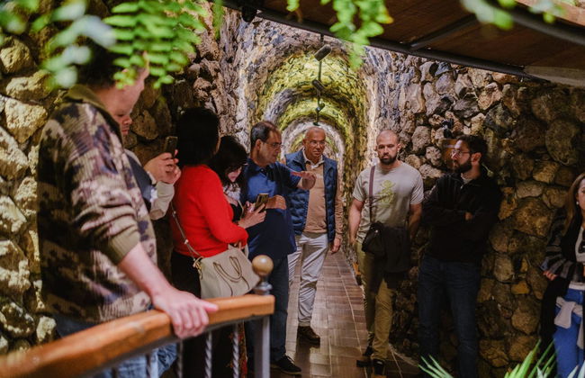 Visita a las Bodegas Viñátigo - Foto 3