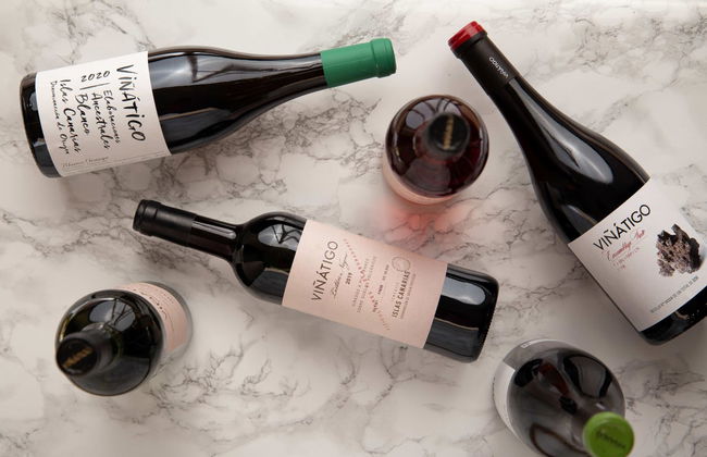 Visita a las Bodegas Viñátigo - Foto 7