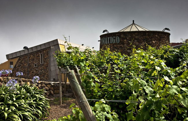 Visita a las Bodegas Viñátigo - Foto 5