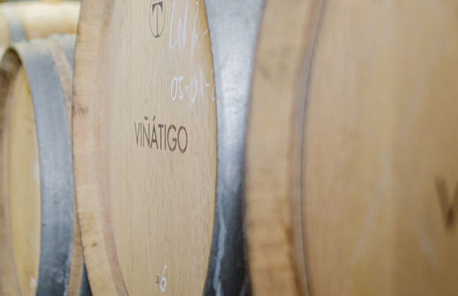 Visita a las Bodegas Viñátigo - Foto 8