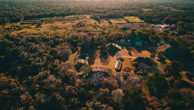 Day Trip to Altun Ha + Tubing in Caves Branch - Foto 4