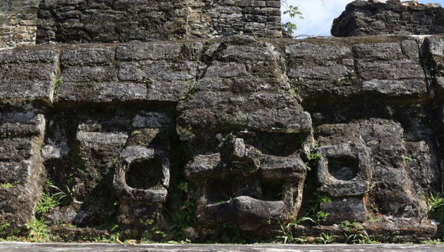 Excursión a Altún Ha + Tubing en Caves Branch - Foto 3
