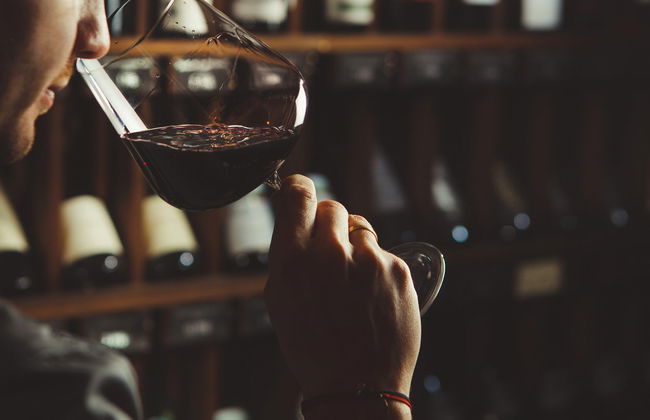 Bratislava Wine Tour - Photo 1