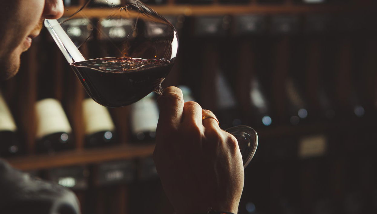 Bratislava Wine Tour - Photo 1