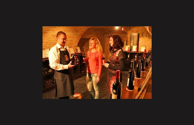 Bratislava Wine Tour - Foto 2