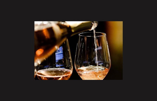 Bratislava Wine Tour - Foto 4