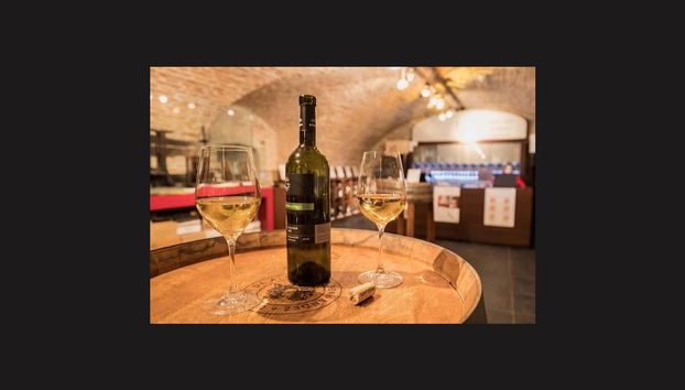 Bratislava Wine Tour - Photo 2