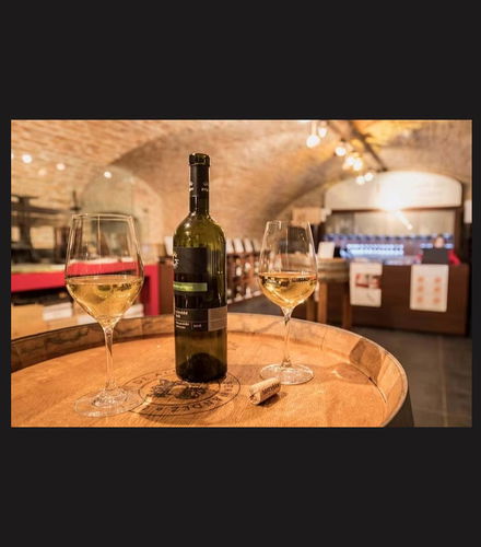 Foto de Cata de vinos en Bratislava
