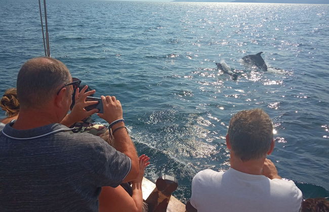 Paseo en barco por el golfo de Arta - Foto 4
